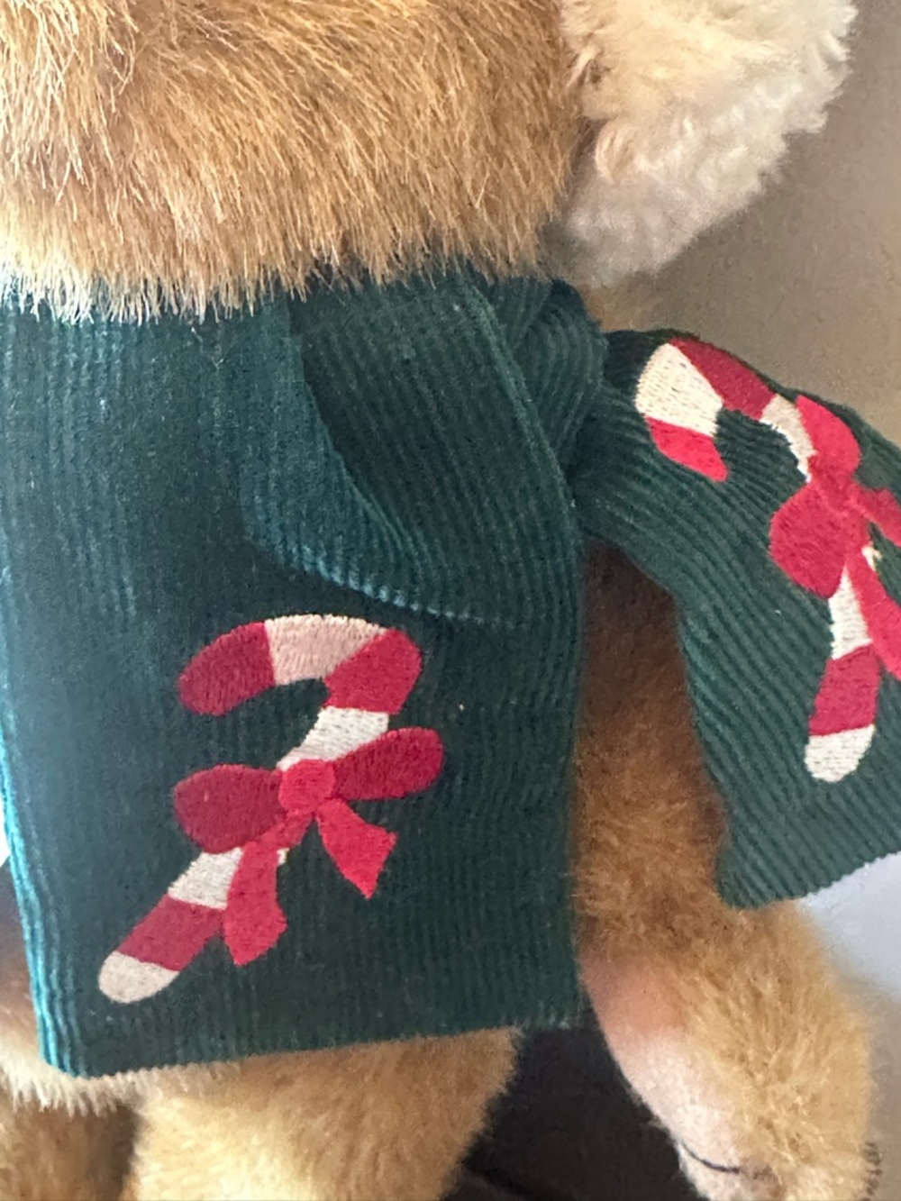 Boyd’s Bear - Picture 3 of 8